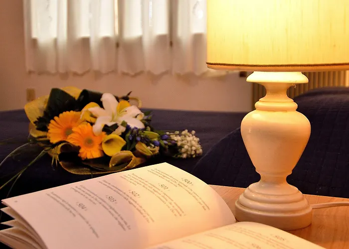 阿姆巴阿拉齐酒店 酒店 *